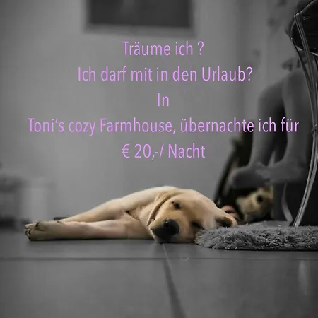 Tonis Cozy Boutique By Alpin Charme Apartmán