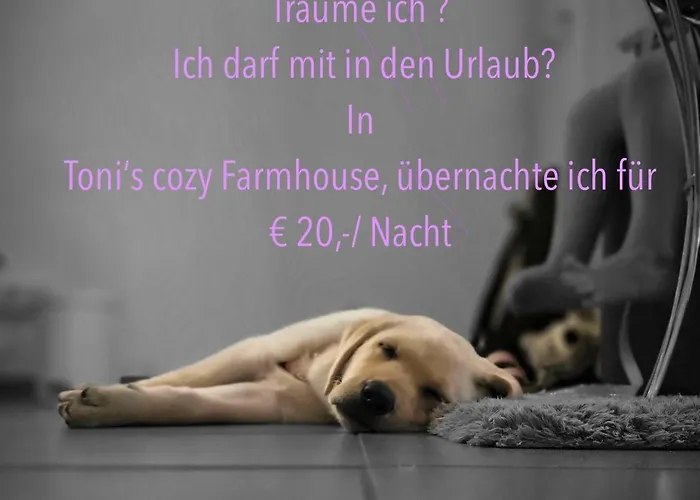 Alpin Charme Tonis Cozy Boutique Lejlighed